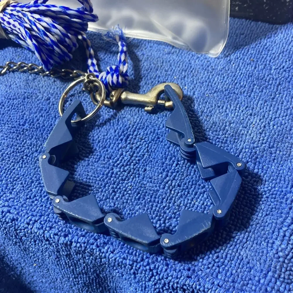 Dog Training Collar And Collapsable Bowl